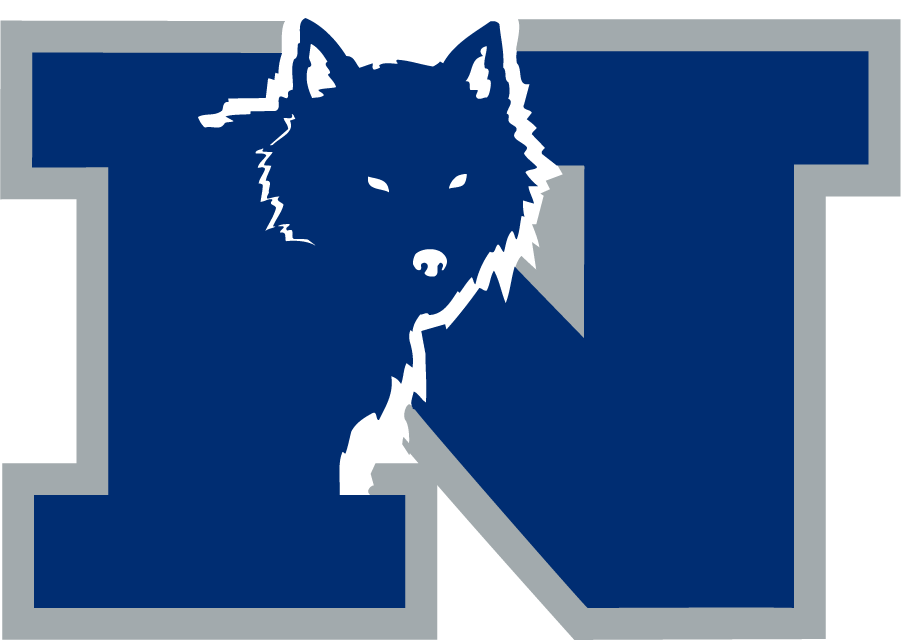 Nevada Wolf Pack 1993-2002 Secondary Logo diy DTF decal sticker